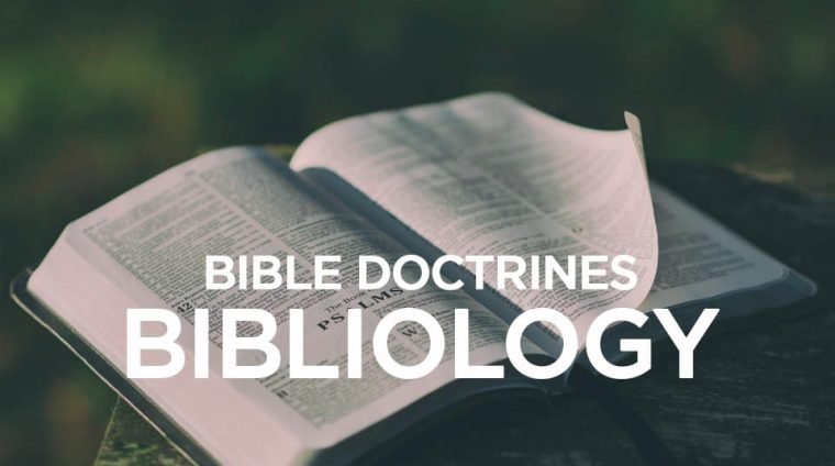 WhatsApp Image 2026-01-11 at 1.23.50 AM